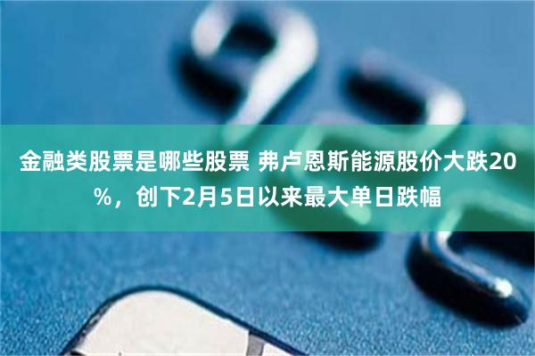 金融类股票是哪些股票 弗卢恩斯能源股价大跌20%，创下2月5日以来最大单日跌幅