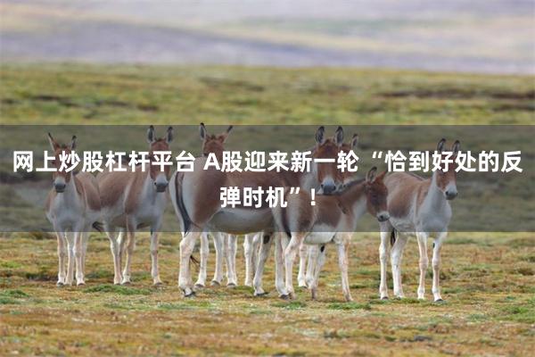 网上炒股杠杆平台 A股迎来新一轮 “恰到好处的反弹时机”！