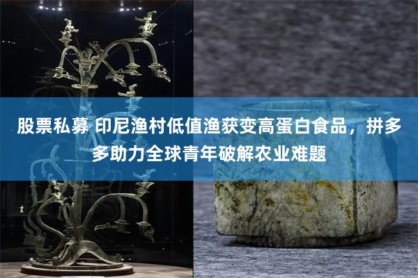 股票私募 印尼渔村低值渔获变高蛋白食品，拼多多助力全球青年破解农业难题