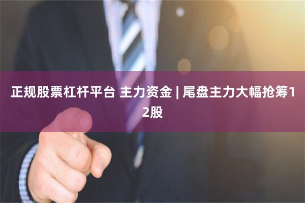 正规股票杠杆平台 主力资金 | 尾盘主力大幅抢筹12股