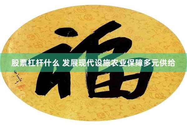 股票杠杆什么 发展现代设施农业保障多元供给
