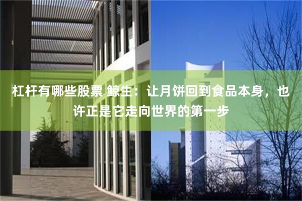 杠杆有哪些股票 鲸生：让月饼回到食品本身，也许正是它走向世界的第一步