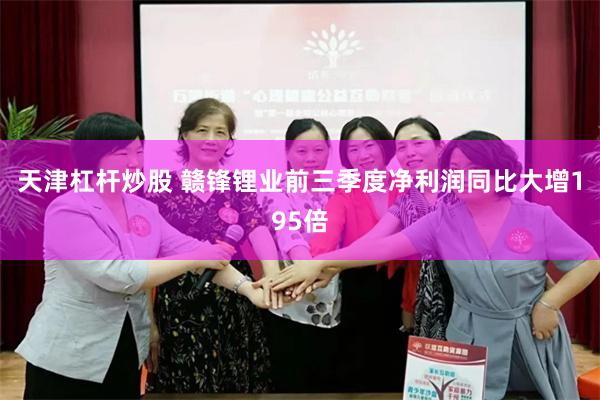天津杠杆炒股 赣锋锂业前三季度净利润同比大增195倍