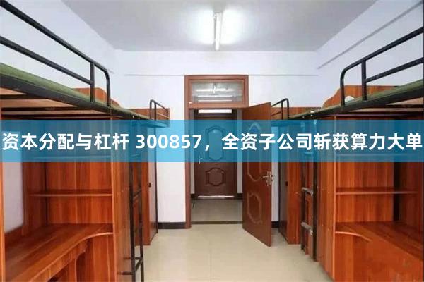 资本分配与杠杆 300857，全资子公司斩获算力大单