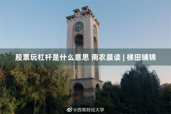股票玩杠杆是什么意思 南农晨读 | 梯田铺锦