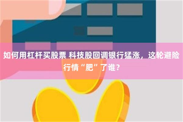 如何用杠杆买股票 科技股回调银行猛涨，这轮避险行情“肥”了谁？