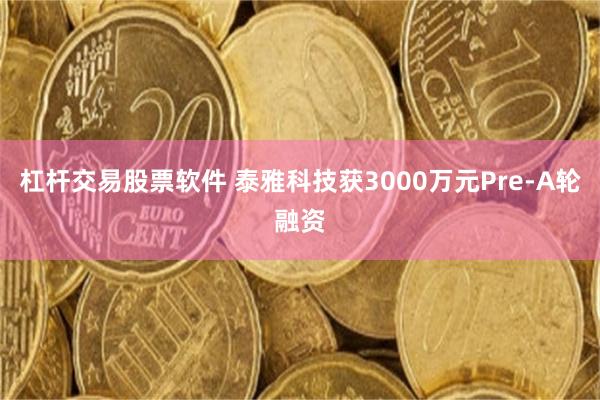 杠杆交易股票软件 泰雅科技获3000万元Pre-A轮融资