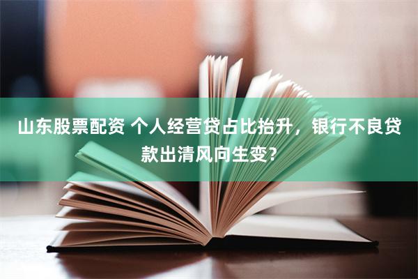 山东股票配资 个人经营贷占比抬升，银行不良贷款出清风向生变？